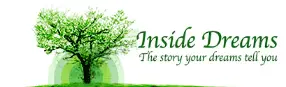 Inside Dreams